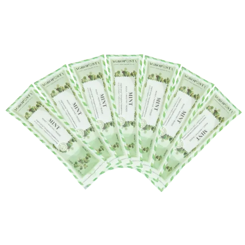 50 sachets Sirop de menthe biologique