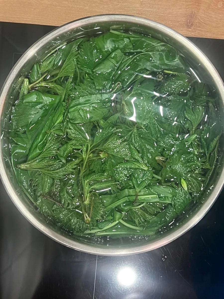 Deeg laten rijzen